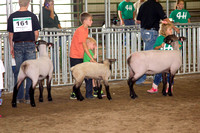 07-23-14 DC Fair Sheep Show