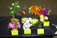 06-13-12 Sr. Center Flower Show