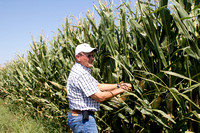 08-29-12 Corn-Soybean Prospects