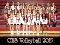 2015 GHS Volleyball