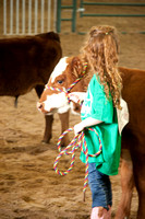 07-20-16 Fair Bucket Calf