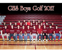 Boys Golf 2017