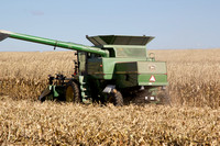 10-19-11 Corn_Harvest