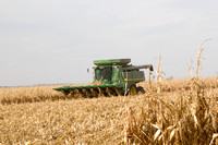 10-29-14 Corn Harvest