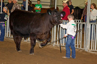07-23-14 DC Fair Beef Show